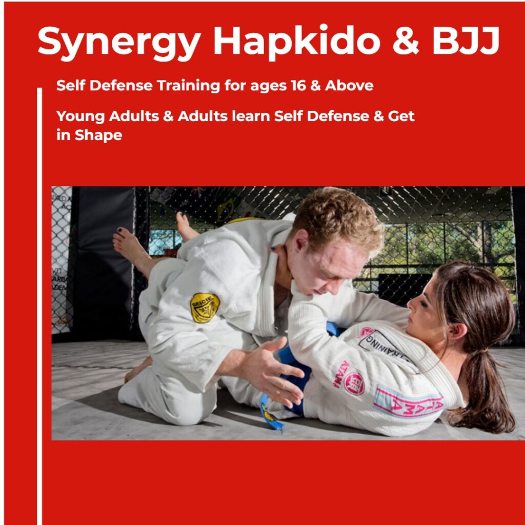 Synergy Hapkido and BJJ